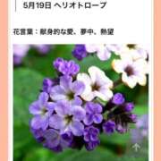 ヒメ日記 2026/05/19 17:14 投稿 山波幸 こあくまな熟女たち 鶯谷・日暮里店(KOAKUMAグループ)