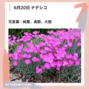 ヒメ日記 2026/06/20 17:49 投稿 山波幸 こあくまな熟女たち 鶯谷・日暮里店(KOAKUMAグループ)