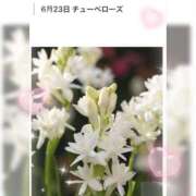 ヒメ日記 2026/06/23 17:19 投稿 山波幸 こあくまな熟女たち 鶯谷・日暮里店(KOAKUMAグループ)