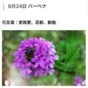 ヒメ日記 2026/06/24 17:13 投稿 山波幸 こあくまな熟女たち 鶯谷・日暮里店(KOAKUMAグループ)