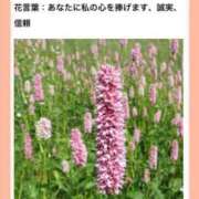ヒメ日記 2026/06/26 18:23 投稿 山波幸 こあくまな熟女たち 鶯谷・日暮里店(KOAKUMAグループ)