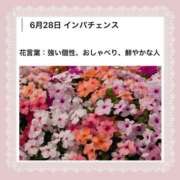 ヒメ日記 2026/06/28 17:10 投稿 山波幸 こあくまな熟女たち 鶯谷・日暮里店(KOAKUMAグループ)