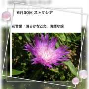 ヒメ日記 2026/06/30 17:10 投稿 山波幸 こあくまな熟女たち 鶯谷・日暮里店(KOAKUMAグループ)