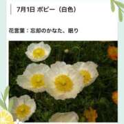 ヒメ日記 2026/07/01 17:34 投稿 山波幸 こあくまな熟女たち 鶯谷・日暮里店(KOAKUMAグループ)