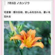 ヒメ日記 2026/07/05 17:15 投稿 山波幸 こあくまな熟女たち 鶯谷・日暮里店(KOAKUMAグループ)