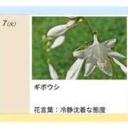 ヒメ日記 2026/07/07 17:07 投稿 山波幸 こあくまな熟女たち 鶯谷・日暮里店(KOAKUMAグループ)