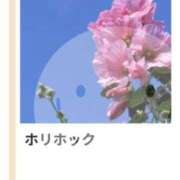 ヒメ日記 2026/07/08 17:10 投稿 山波幸 こあくまな熟女たち 鶯谷・日暮里店(KOAKUMAグループ)