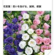 ヒメ日記 2026/07/10 17:16 投稿 山波幸 こあくまな熟女たち 鶯谷・日暮里店(KOAKUMAグループ)