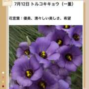 ヒメ日記 2026/07/12 17:50 投稿 山波幸 こあくまな熟女たち 鶯谷・日暮里店(KOAKUMAグループ)
