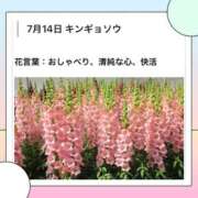 ヒメ日記 2026/07/14 17:17 投稿 山波幸 こあくまな熟女たち 鶯谷・日暮里店(KOAKUMAグループ)