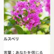 ヒメ日記 2026/07/18 17:47 投稿 山波幸 こあくまな熟女たち 鶯谷・日暮里店(KOAKUMAグループ)