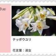 ヒメ日記 2026/07/20 17:36 投稿 山波幸 こあくまな熟女たち 鶯谷・日暮里店(KOAKUMAグループ)