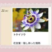 ヒメ日記 2026/07/21 17:06 投稿 山波幸 こあくまな熟女たち 鶯谷・日暮里店(KOAKUMAグループ)