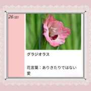 ヒメ日記 2026/07/26 17:03 投稿 山波幸 こあくまな熟女たち 鶯谷・日暮里店(KOAKUMAグループ)