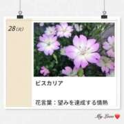 ヒメ日記 2026/07/28 18:27 投稿 山波幸 こあくまな熟女たち 鶯谷・日暮里店(KOAKUMAグループ)