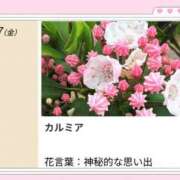 ヒメ日記 2026/08/07 17:24 投稿 山波幸 こあくまな熟女たち 鶯谷・日暮里店(KOAKUMAグループ)