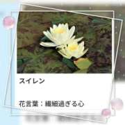 ヒメ日記 2026/08/08 17:45 投稿 山波幸 こあくまな熟女たち 鶯谷・日暮里店(KOAKUMAグループ)