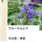 ヒメ日記 2026/08/10 17:12 投稿 山波幸 こあくまな熟女たち 鶯谷・日暮里店(KOAKUMAグループ)