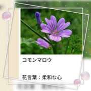 ヒメ日記 2026/08/14 18:39 投稿 山波幸 こあくまな熟女たち 鶯谷・日暮里店(KOAKUMAグループ)