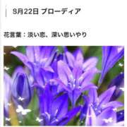 ヒメ日記 2026/08/22 17:25 投稿 山波幸 こあくまな熟女たち 鶯谷・日暮里店(KOAKUMAグループ)