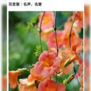 ヒメ日記 2026/08/25 17:25 投稿 山波幸 こあくまな熟女たち 鶯谷・日暮里店(KOAKUMAグループ)