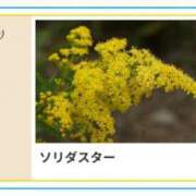 ヒメ日記 2026/09/04 18:52 投稿 山波幸 こあくまな熟女たち 鶯谷・日暮里店(KOAKUMAグループ)