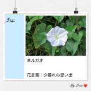 ヒメ日記 2026/09/05 17:14 投稿 山波幸 こあくまな熟女たち 鶯谷・日暮里店(KOAKUMAグループ)