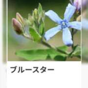 山波幸 本日も、ありがとうございました。 こあくまな熟女たち 鶯谷・日暮里店(KOAKUMAグループ)