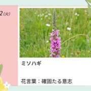 ヒメ日記 2026/09/22 17:34 投稿 山波幸 こあくまな熟女たち 鶯谷・日暮里店(KOAKUMAグループ)