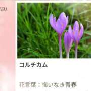 ヒメ日記 2026/09/27 17:13 投稿 山波幸 こあくまな熟女たち 鶯谷・日暮里店(KOAKUMAグループ)