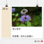 ヒメ日記 2026/09/28 17:12 投稿 山波幸 こあくまな熟女たち 鶯谷・日暮里店(KOAKUMAグループ)