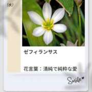 ヒメ日記 2026/09/30 18:48 投稿 山波幸 こあくまな熟女たち 鶯谷・日暮里店(KOAKUMAグループ)