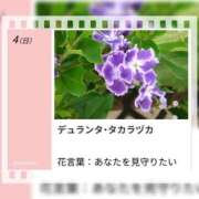 ヒメ日記 2026/10/04 17:49 投稿 山波幸 こあくまな熟女たち 鶯谷・日暮里店(KOAKUMAグループ)