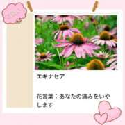 ヒメ日記 2026/10/07 17:11 投稿 山波幸 こあくまな熟女たち 鶯谷・日暮里店(KOAKUMAグループ)