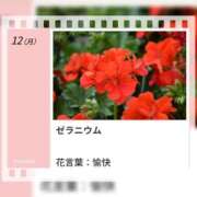 ヒメ日記 2026/10/12 17:21 投稿 山波幸 こあくまな熟女たち 鶯谷・日暮里店(KOAKUMAグループ)
