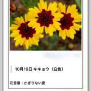 ヒメ日記 2026/10/19 17:14 投稿 山波幸 こあくまな熟女たち 鶯谷・日暮里店(KOAKUMAグループ)