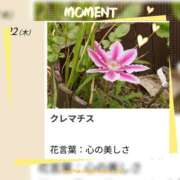 ヒメ日記 2026/10/22 17:32 投稿 山波幸 こあくまな熟女たち 鶯谷・日暮里店(KOAKUMAグループ)