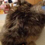 ヒメ日記 2024/12/17 21:38 投稿 吉永 西川口デッドボール