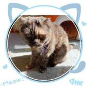 ヒメ日記 2025/02/08 13:51 投稿 吉永 西川口デッドボール