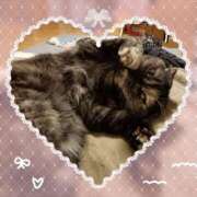 ヒメ日記 2025/05/03 13:58 投稿 吉永 西川口デッドボール