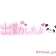 ヒメ日記 2025/06/14 11:58 投稿 吉永 西川口デッドボール