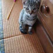 ヒメ日記 2025/12/17 15:38 投稿 吉永 西川口デッドボール