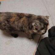 ヒメ日記 2025/12/28 19:49 投稿 吉永 西川口デッドボール