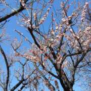 ヒメ日記 2026/03/01 15:28 投稿 吉永 西川口デッドボール