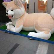 ヒメ日記 2026/03/22 10:58 投稿 吉永 西川口デッドボール