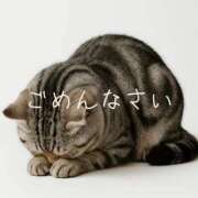 るりか ごめんなさい みせすはーと