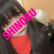 ヒメ日記 2024/12/31 05:20 投稿 シノブ ルパン