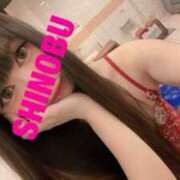 ヒメ日記 2025/01/08 06:18 投稿 シノブ ルパン