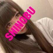 ヒメ日記 2025/01/19 06:48 投稿 シノブ ルパン