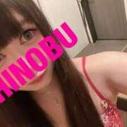 ヒメ日記 2025/01/29 08:39 投稿 シノブ ルパン